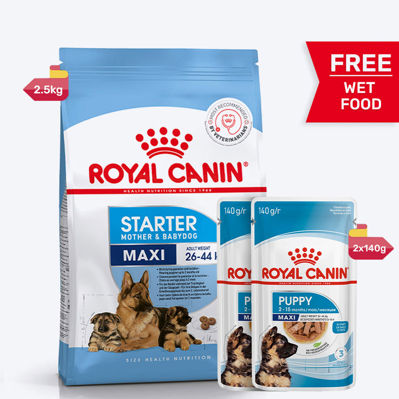 Royal Canin Maxi Starter Dry Dog Food