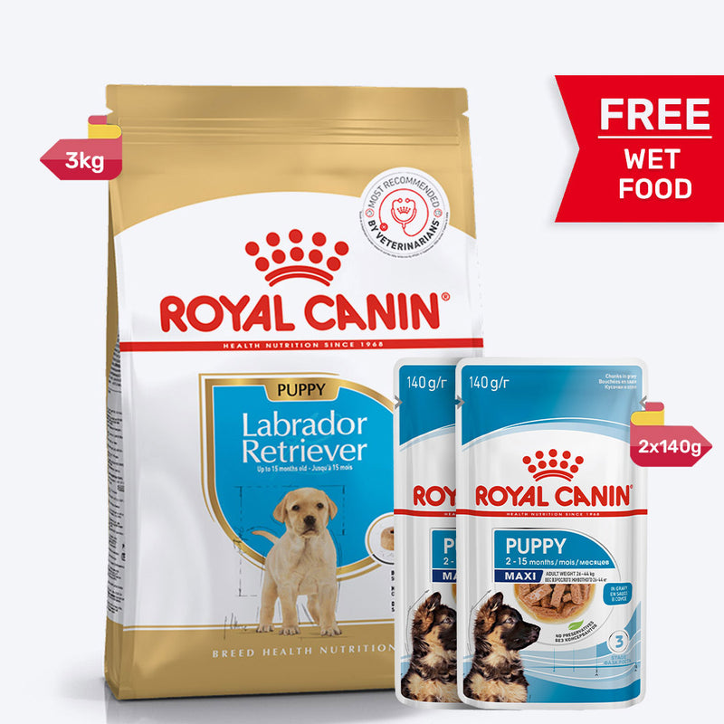 Royal Canin Labrador Retriever Puppy Dry Dog Food