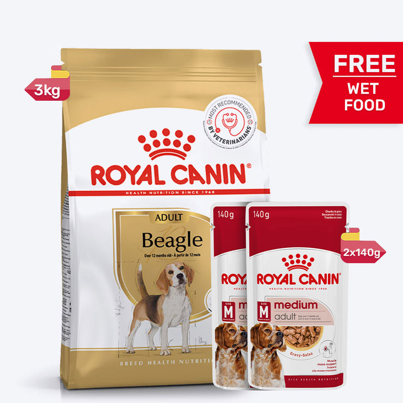Royal Canin Beagle Adult Dry Dog Food
