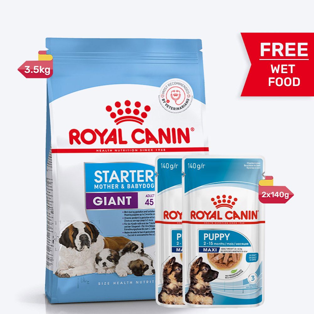 Royal Canin Giant Starter Dry Dog Food