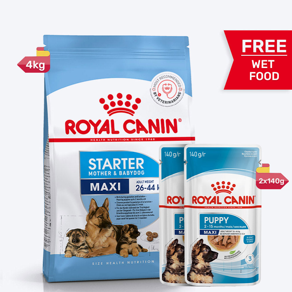 Royal Canin Maxi Starter Dry Dog Food