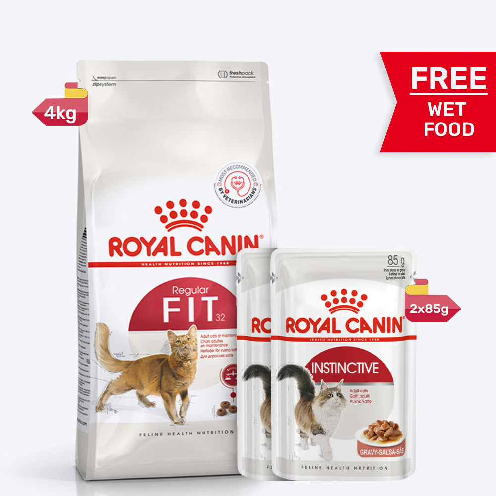 Royal Canin Fit 32 Adult Dry Cat Food