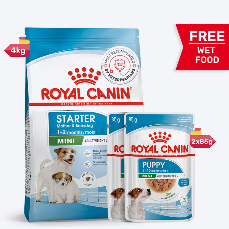 Royal Canin Mini Starter Mother & Puppy Dry Food