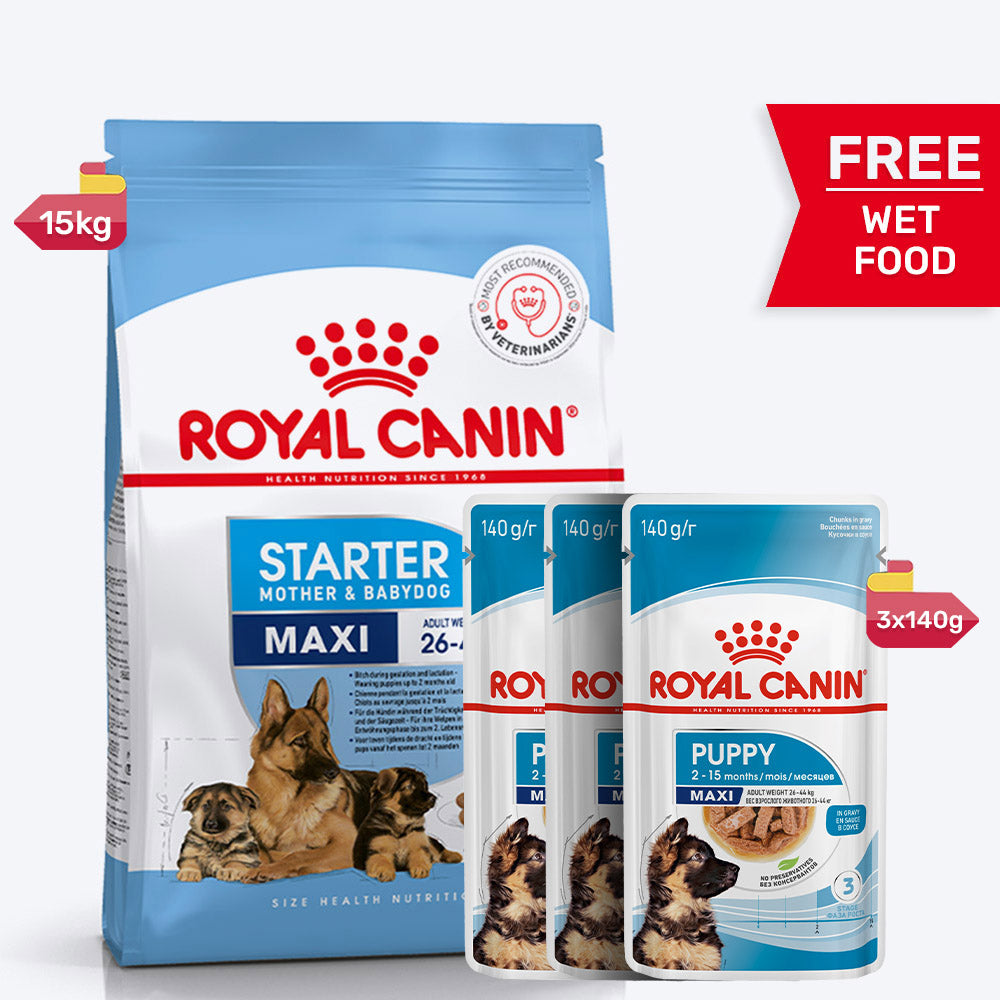 Royal Canin Maxi Starter Dry Dog Food