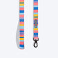 HUFT Spectrum Stripes Leash For Dog - Multicolor