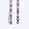 HUFT Spectrum Stripes Leash For Dog - Multicolor - Heads Up For Tails