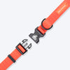 HUFT Personalised Classic Dog Collar - Rust Orange - Heads Up For Tails
