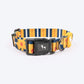 HUFT Daisy Stripes Collar For Dog - Blue & Yellow