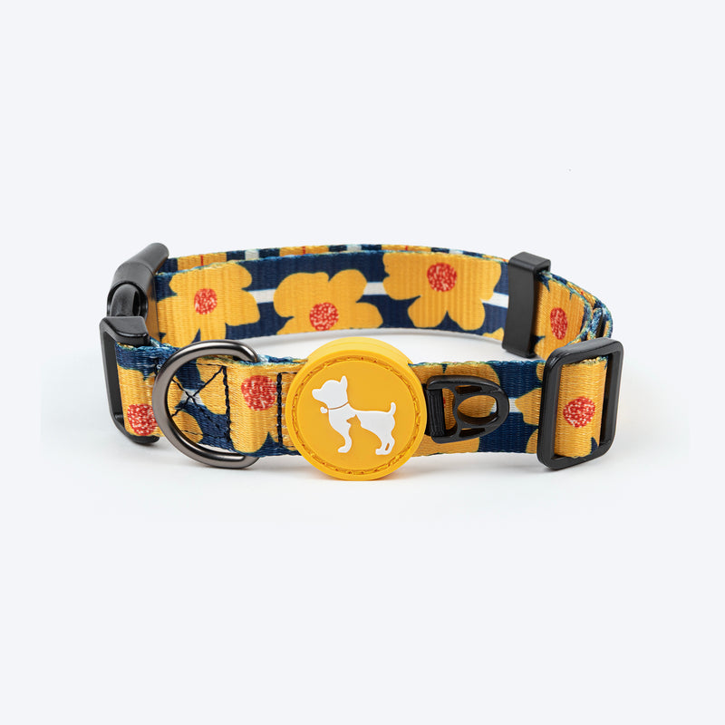 HUFT Daisy Stripes Collar For Dog - Blue & Yellow - Heads Up For Tails