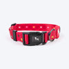HUFT Polka Play Collar For Dog - Red - Heads Up For Tails