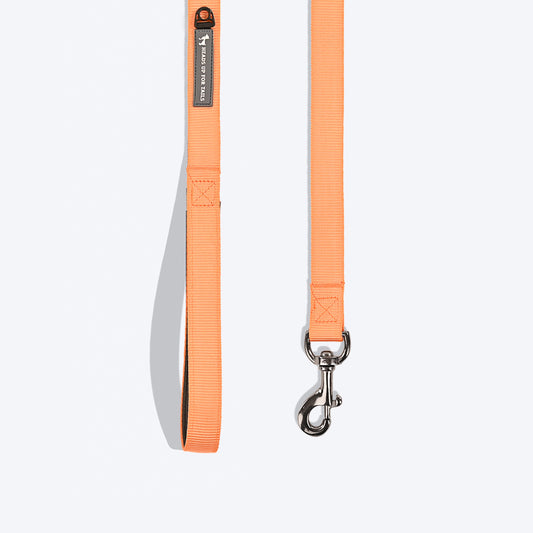 HUFT Essentials Nylon Dog Leash - Orange - Heads Up For Tails