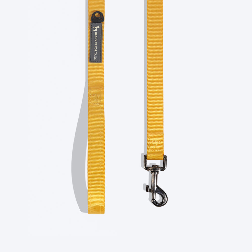 HUFT Essentials Nylon Dog Leash - Yellow - Heads Up For Tails