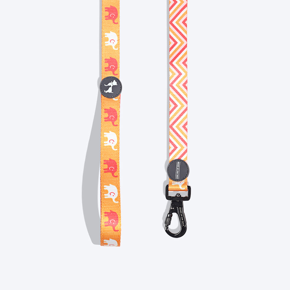 HUFT Summer Legacy Printed Dog Leash - Heads Up For Tails