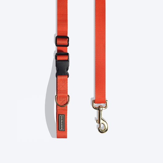 HUFT Adjustable Nylon Dog Leash - Orange - 1.7 m - Heads Up For Tails