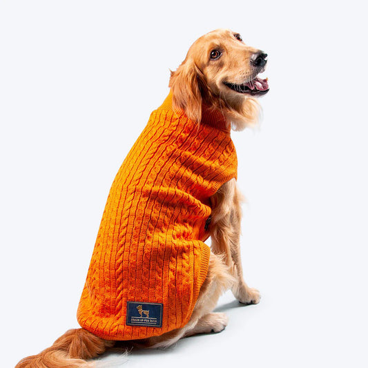 HUFT Cable Knit Dog Sweater - Orange
