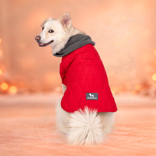 HUFT Charming Cherry Jacket For Big Dog - Red - Heads Up For Tails