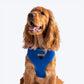 HUFT Classic Mesh Dog Harness - Blue