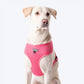 HUFT Classic Mesh Dog Harness - Pink