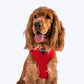 HUFT Classic Mesh Dog Harness - Red