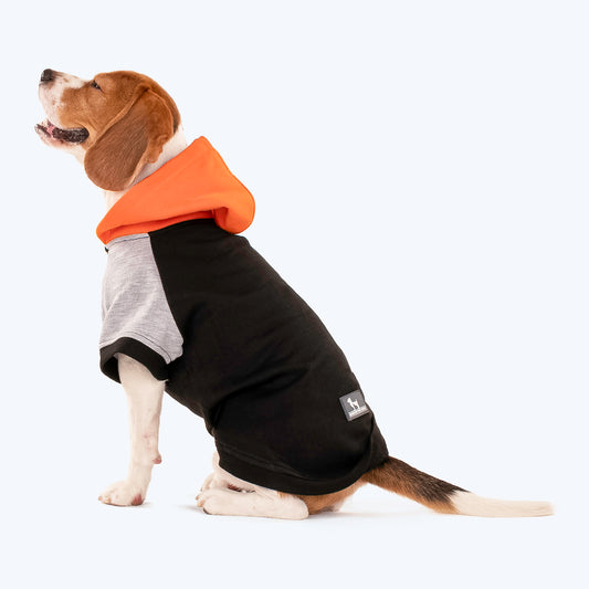 HUFT Colour Block Hoodie Sweatshirt For Dogs & Cats- Black - Heads Up For Tails