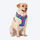 HUFT Colour Craze Dog Adjustable Harness