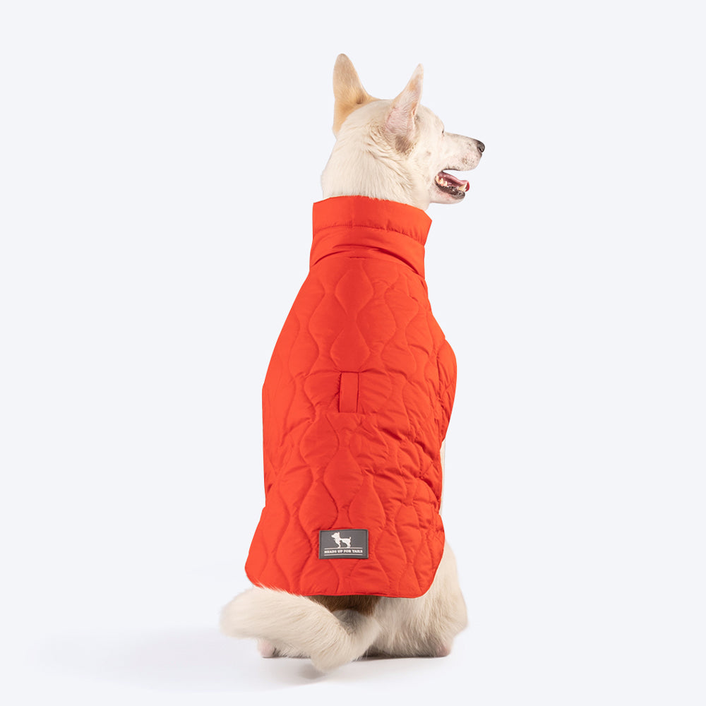 HUFT Cosy Pupper Reversible Dog Jacket- Spicy Orange