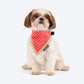 HUFT Desi Regal Bandana For Dog - Coral - Heads Up For Tails