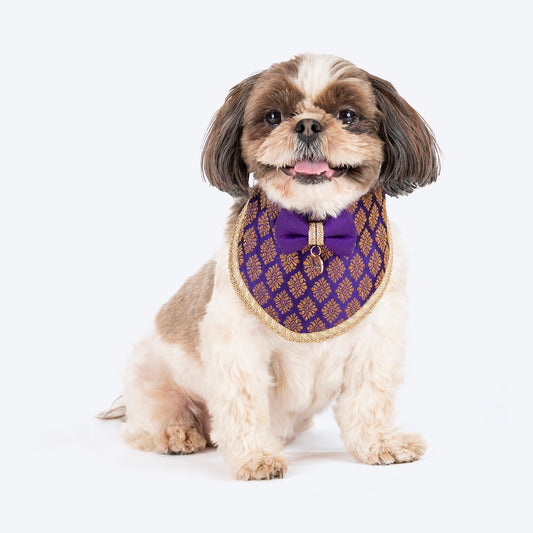 HUFT Desi Regal Bandana For Dog - Violet