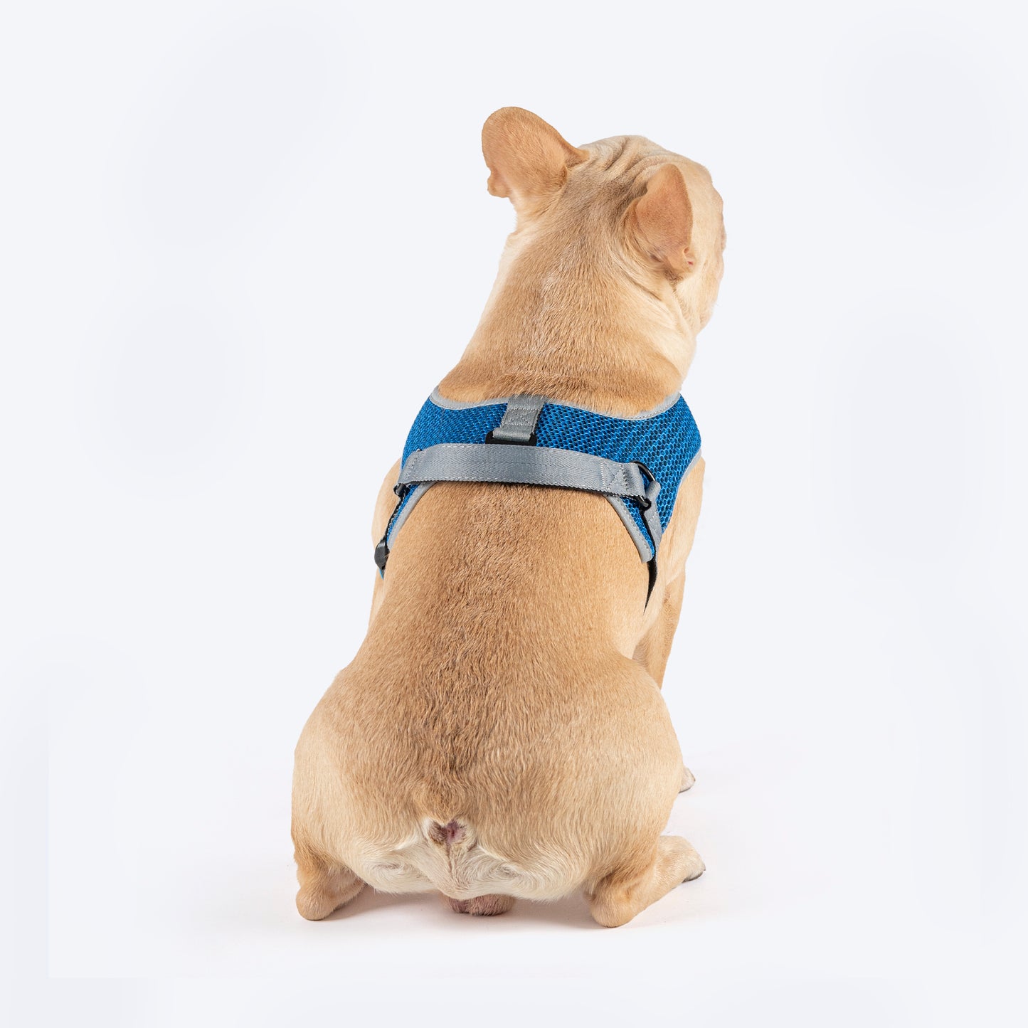 HUFT Easy Fit U-Harness For Dog - Blue