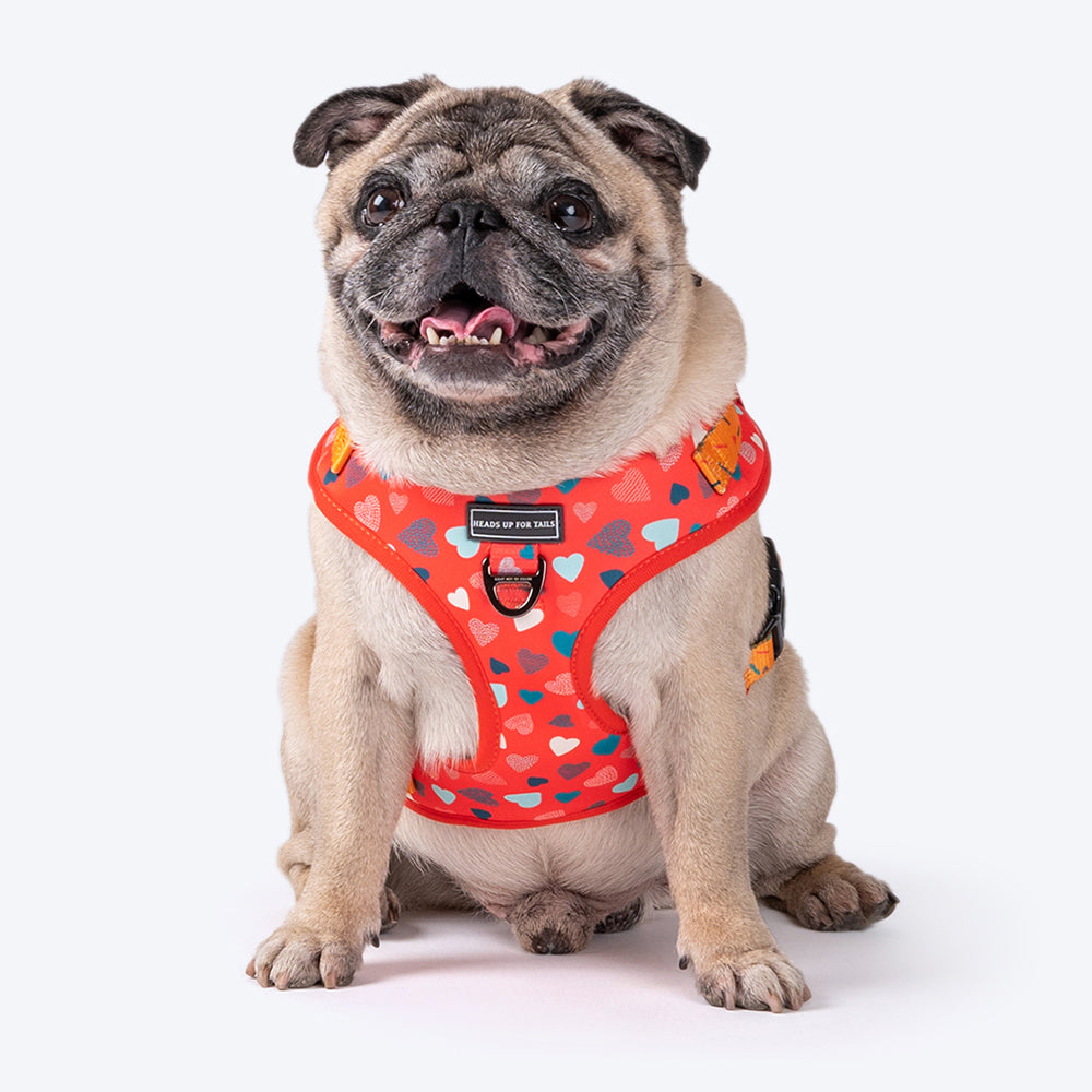 HUFT Endless Joy Printed Dog Harness