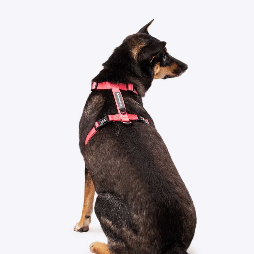 HUFT Essentials Nylon Dog H-Harness - Dark Pink