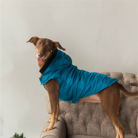 HUFT Bomber Hoodies Dog Jacket - Petrol Blue