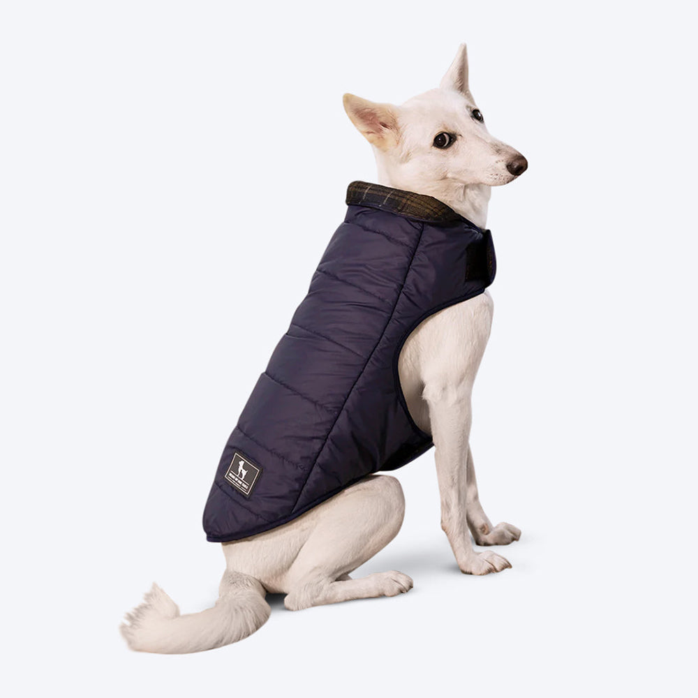 HUFT Reversible Dog Jacket - Blue