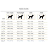 HUFT Little Jumbo Sweatshirt For Dog - Aqua