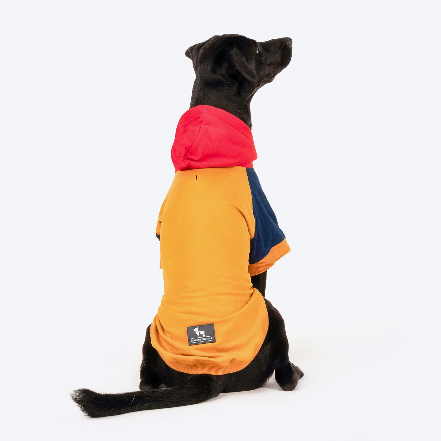 HUFT Colour Block Hoodie Pet Sweatshirt - Mustard