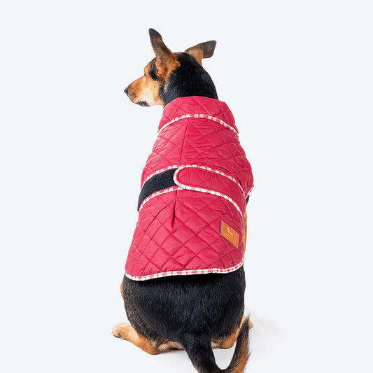 HUFT Grrberry Quilted Dog Jacket- Burnt Red