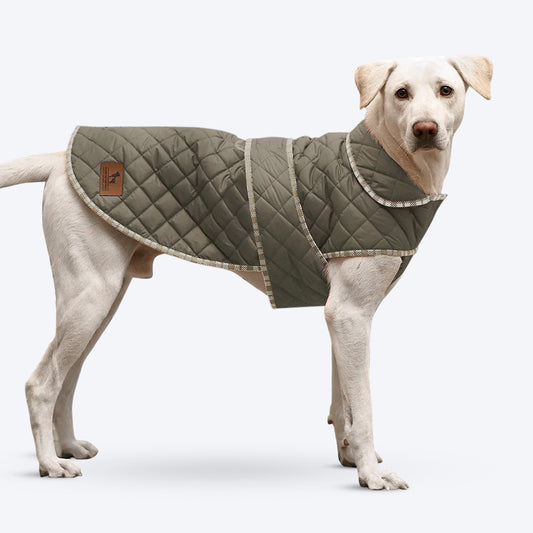 HUFT Grrberry Quilted Dog Jacket - Green