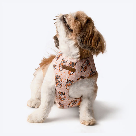 HUFT Jungle Collection Pride Reversible Dog Harness