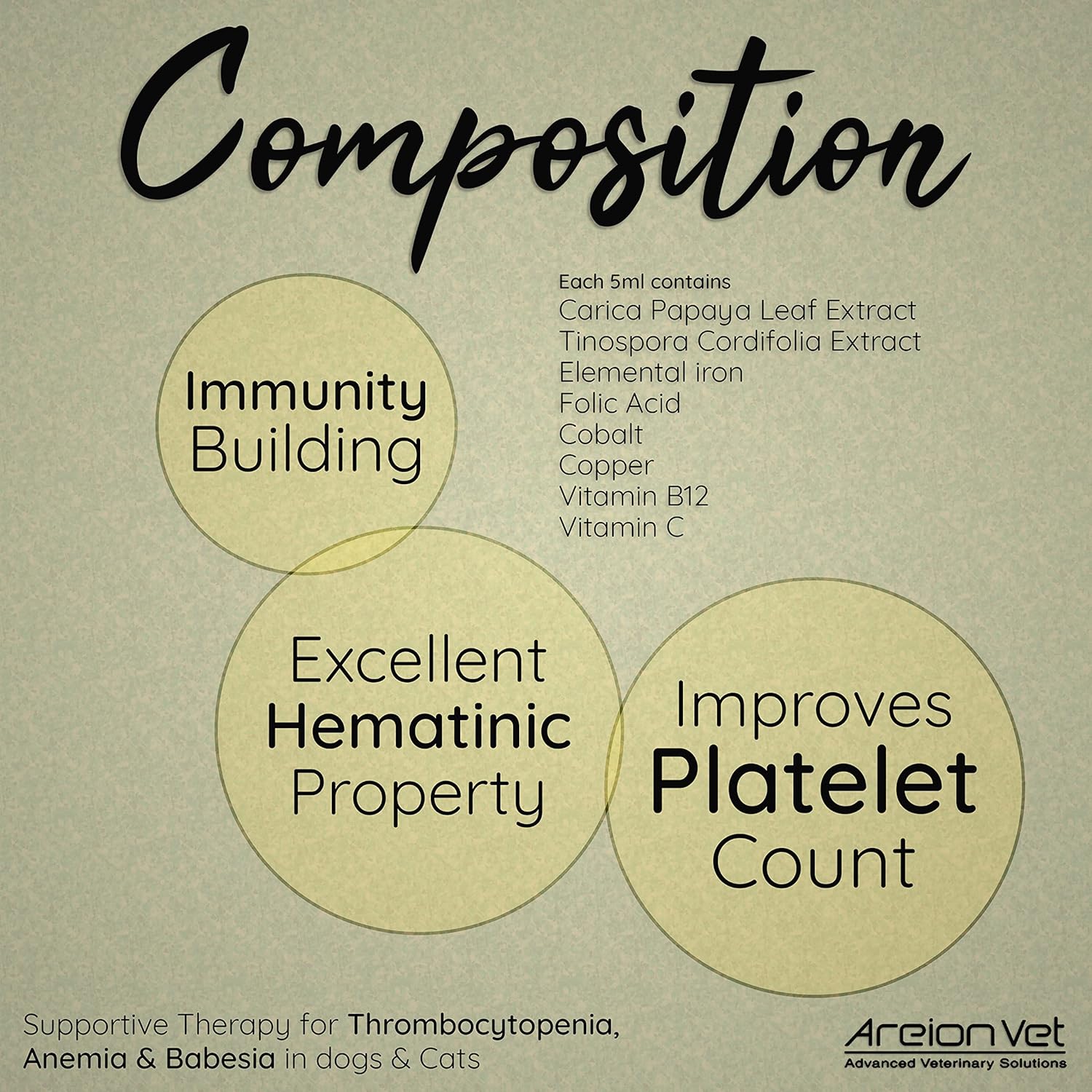 AreionVet Carisyp Syrup For Dog and Cat - 1000 ml - Heads Up For Tails