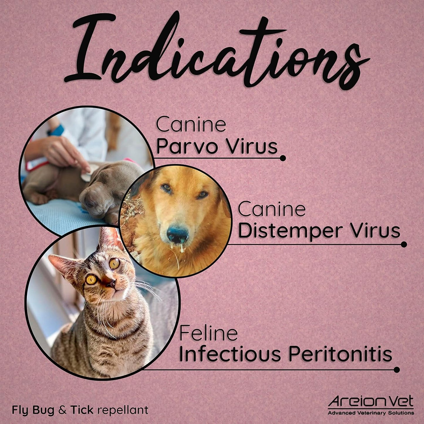 AreionVet Envurol Kennel Disinfectant Liquid - 500 ml - Heads Up For Tails