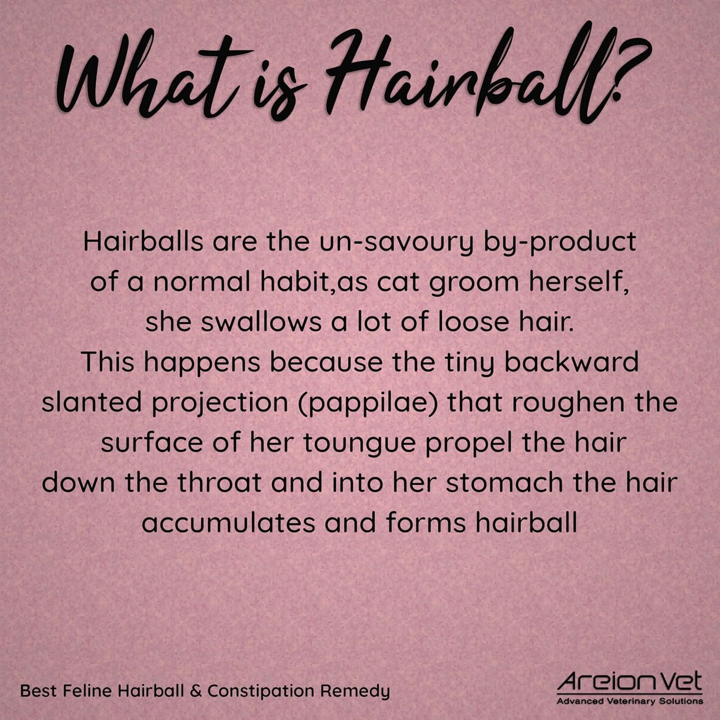 AreionVet Feli-Lax Feline Oral Tube Paste For Hairball Removal & Constipation For Cat - 50 gm - Heads Up For Tails