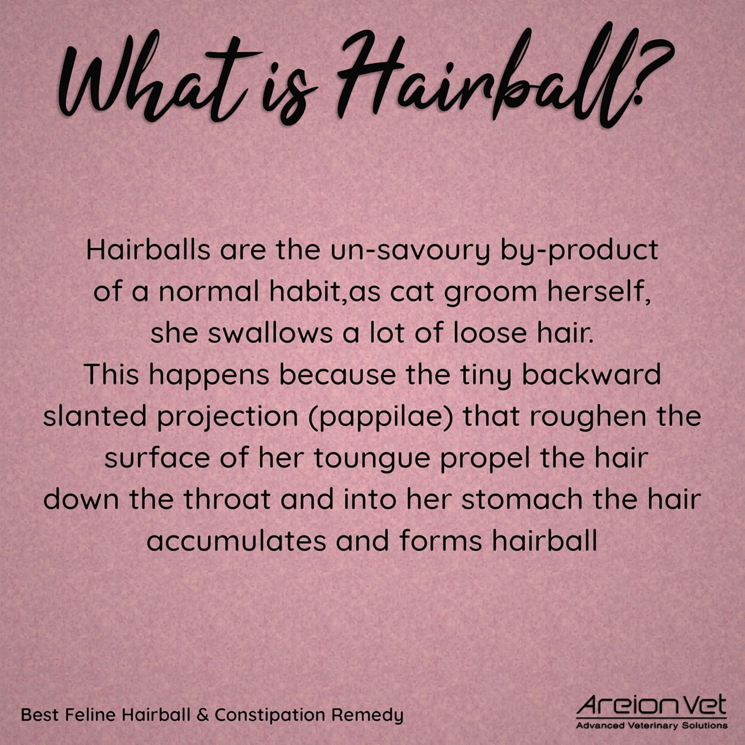 AreionVet Feli-Lax Feline Oral Tube Paste For Hairball Removal & Constipation For Cat - 50 gm - Heads Up For Tails