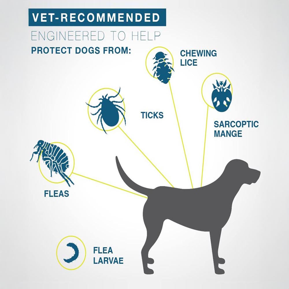 Elanco Seresto Tick & Flea Collar For Dogs Less Than 8 kg - Heads Up For Tails