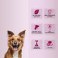 Natural Remedies Audiclean Ear Cleaner For Dog & Cat - 90 ml