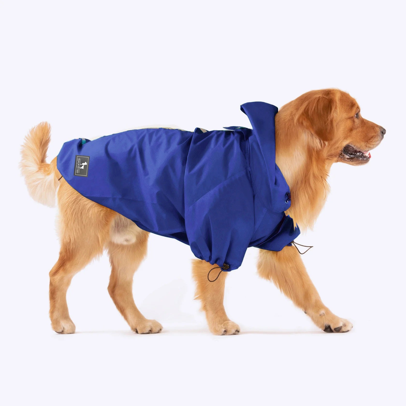 Blue store dog raincoat