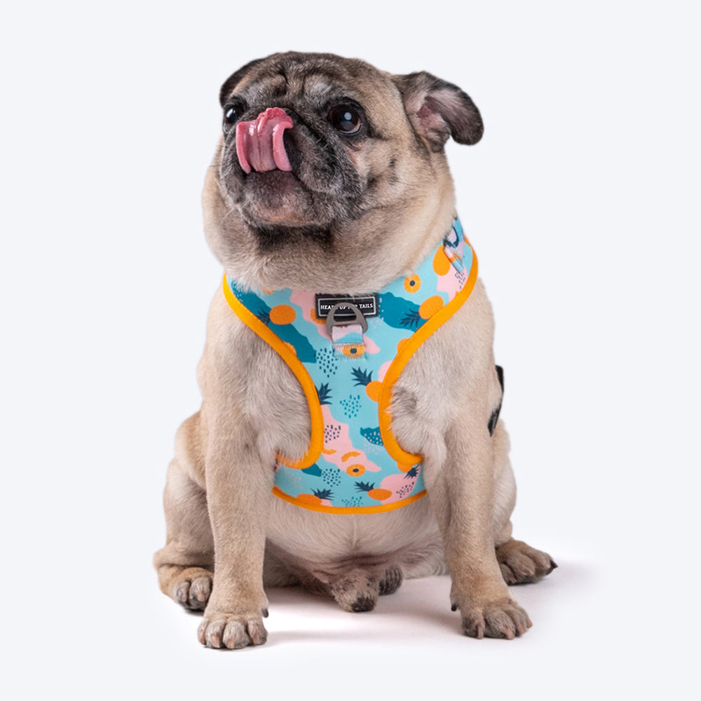 HUFT Modern Art Printed Dog Harness