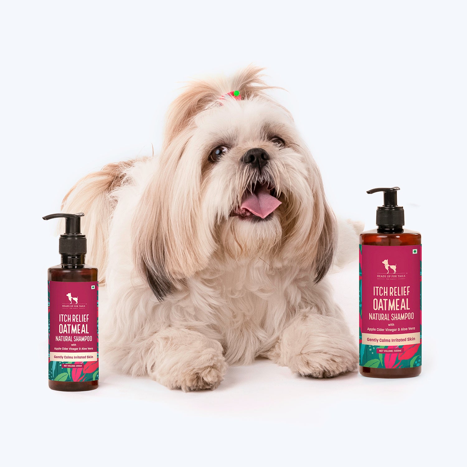 Itchy dog spray outlet apple cider vinegar