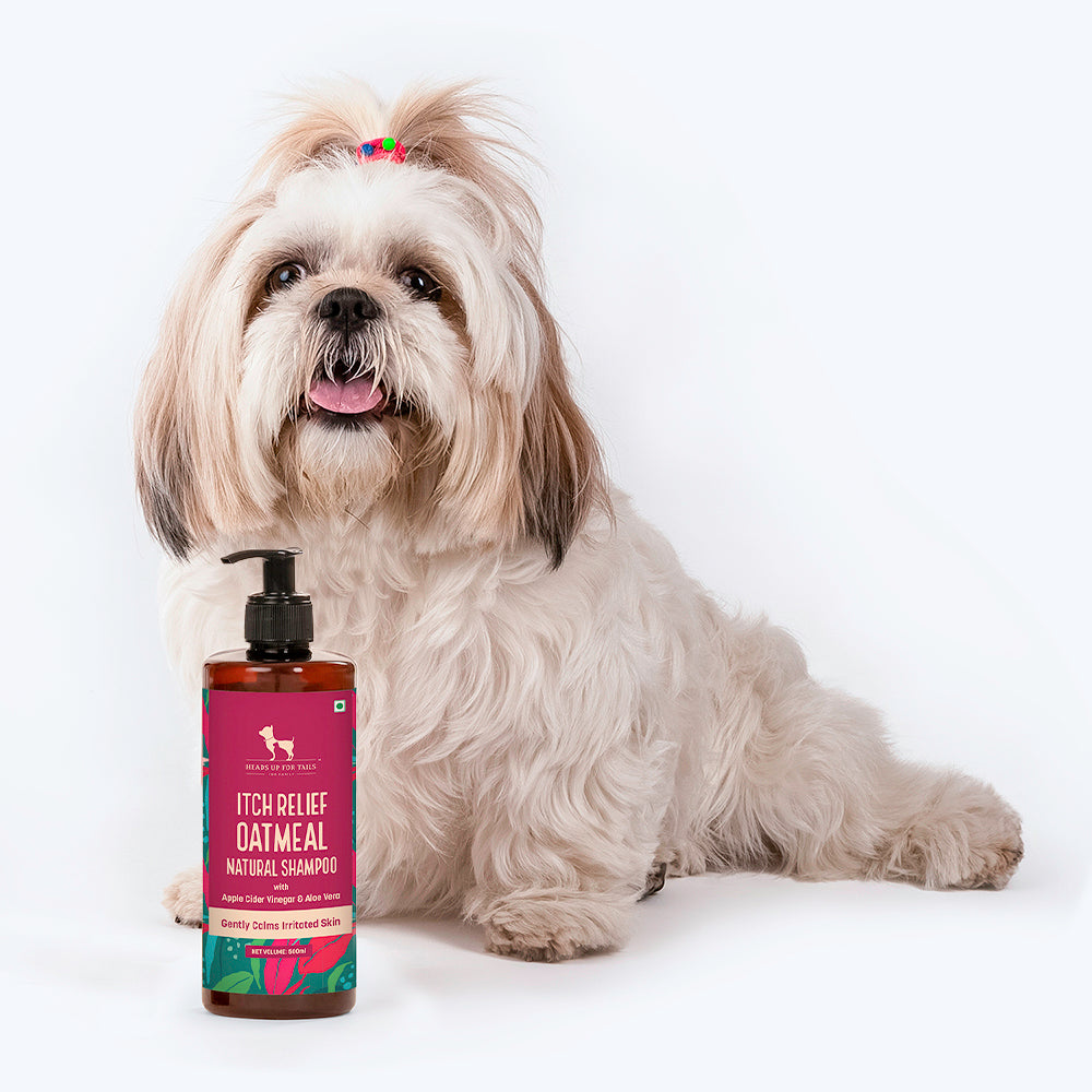 HUFT Natural Itch Relief Oatmeal Shampoo For Dogs - Apple Cider Vinegar & Aloe Vera - Heads Up For Tails