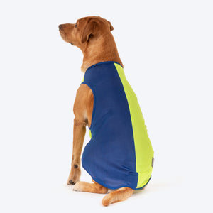 HUFT Neon Burst Vest For Dogs (Blue) - Heads Up For Tails