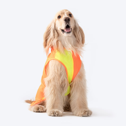 HUFT Neon Burst Vest For Dogs (Orange)